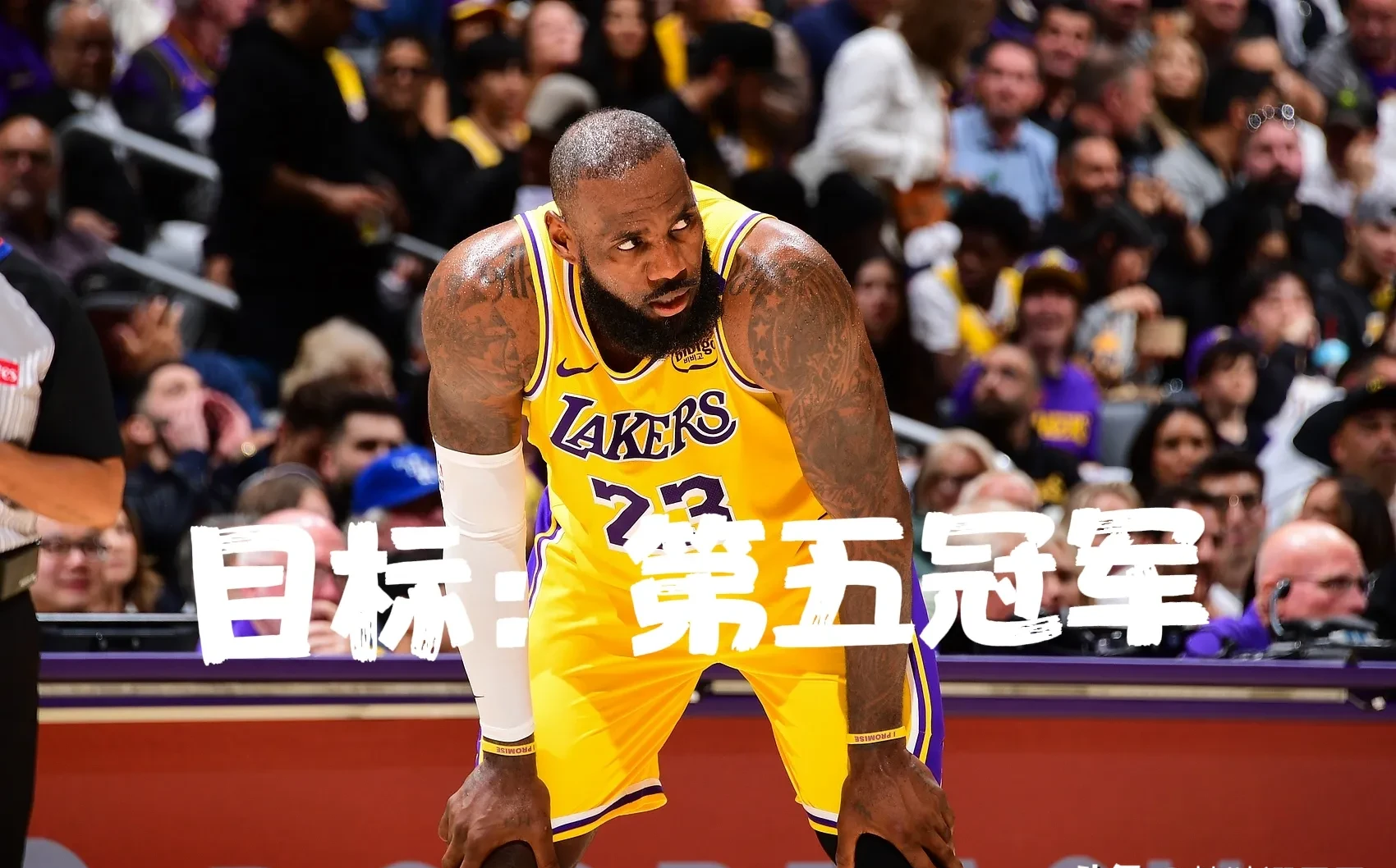 关于詹姆斯在掘金比赛中比赛局势复杂，爆冷引发热议！的信息
